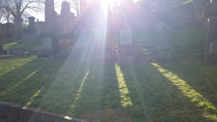 shadows and sunlight through gravestones