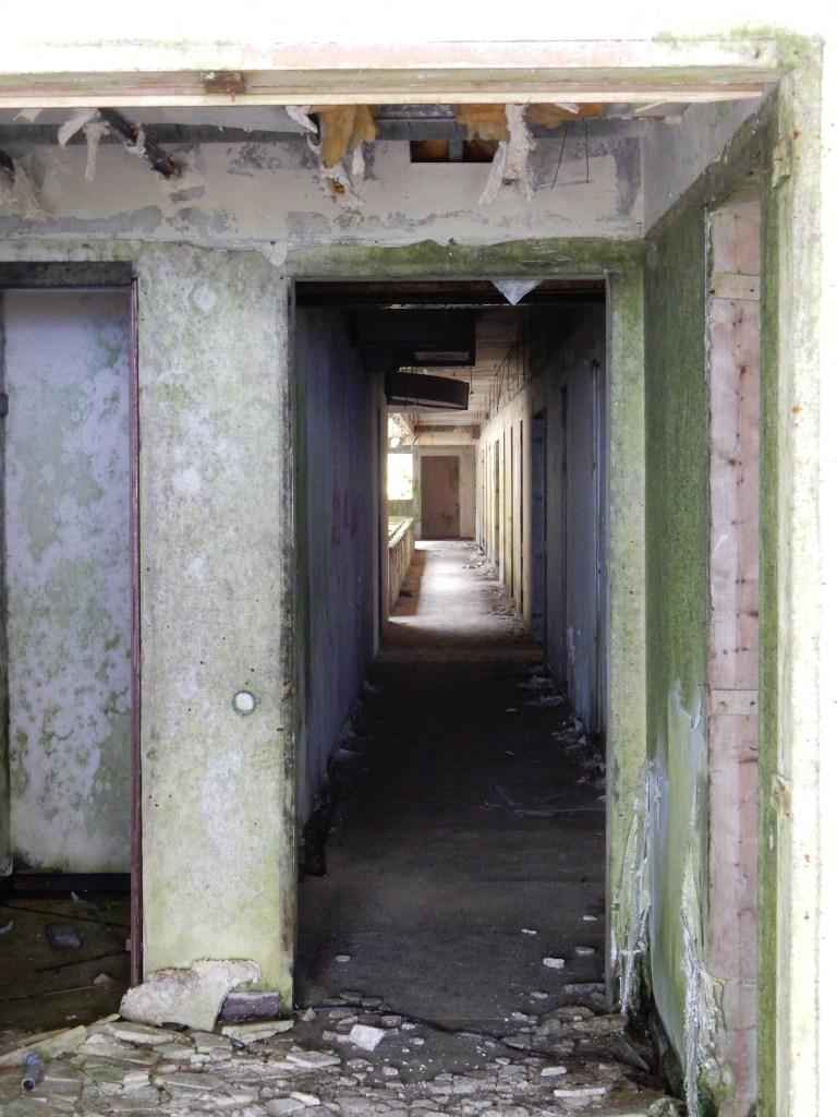 Photo of Monte Palace Hotel, Azores corridor