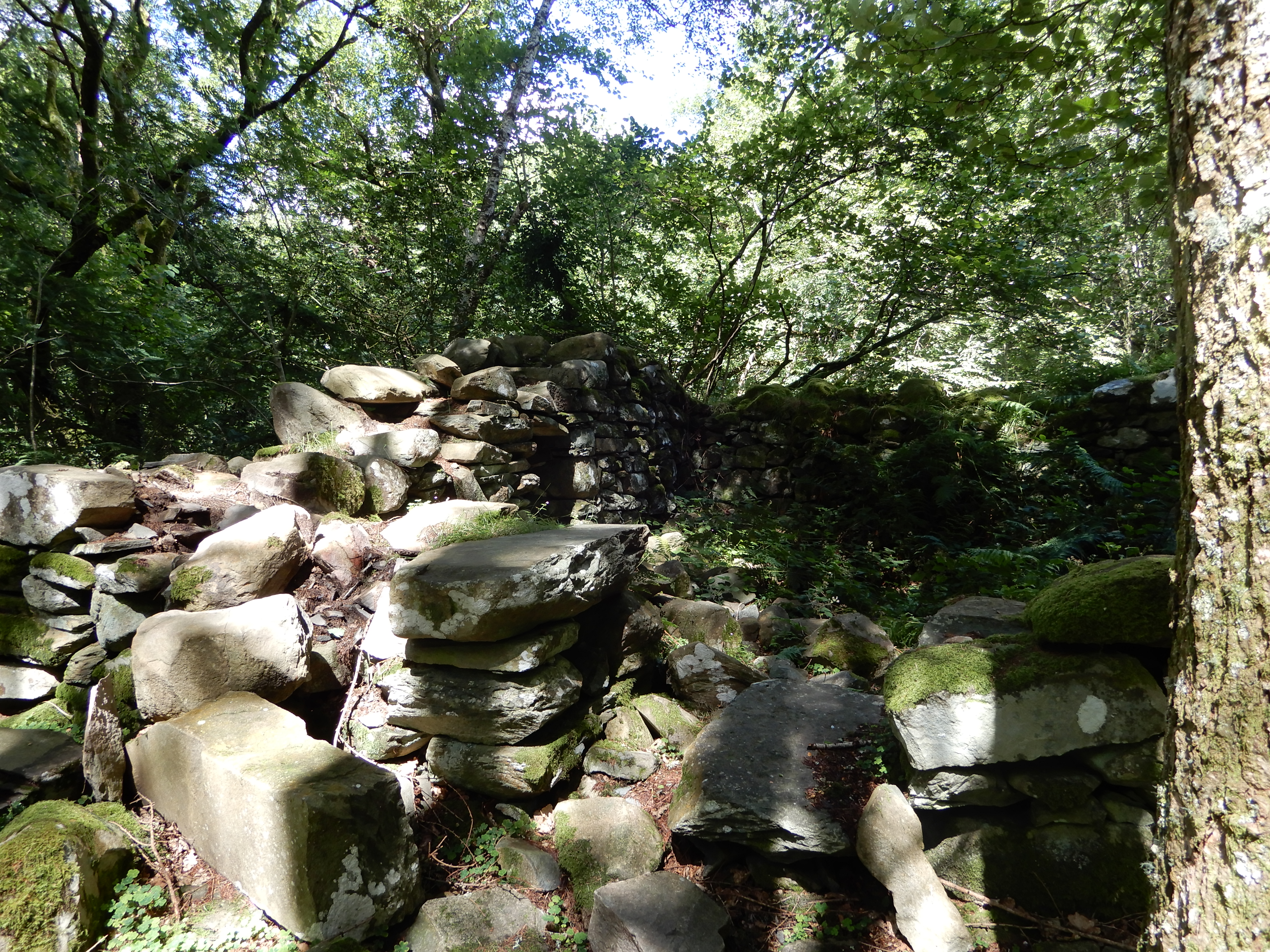 Photo of derelict stone cottage