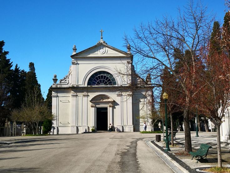 57561164_2352826581404974_3522142365500309504_n