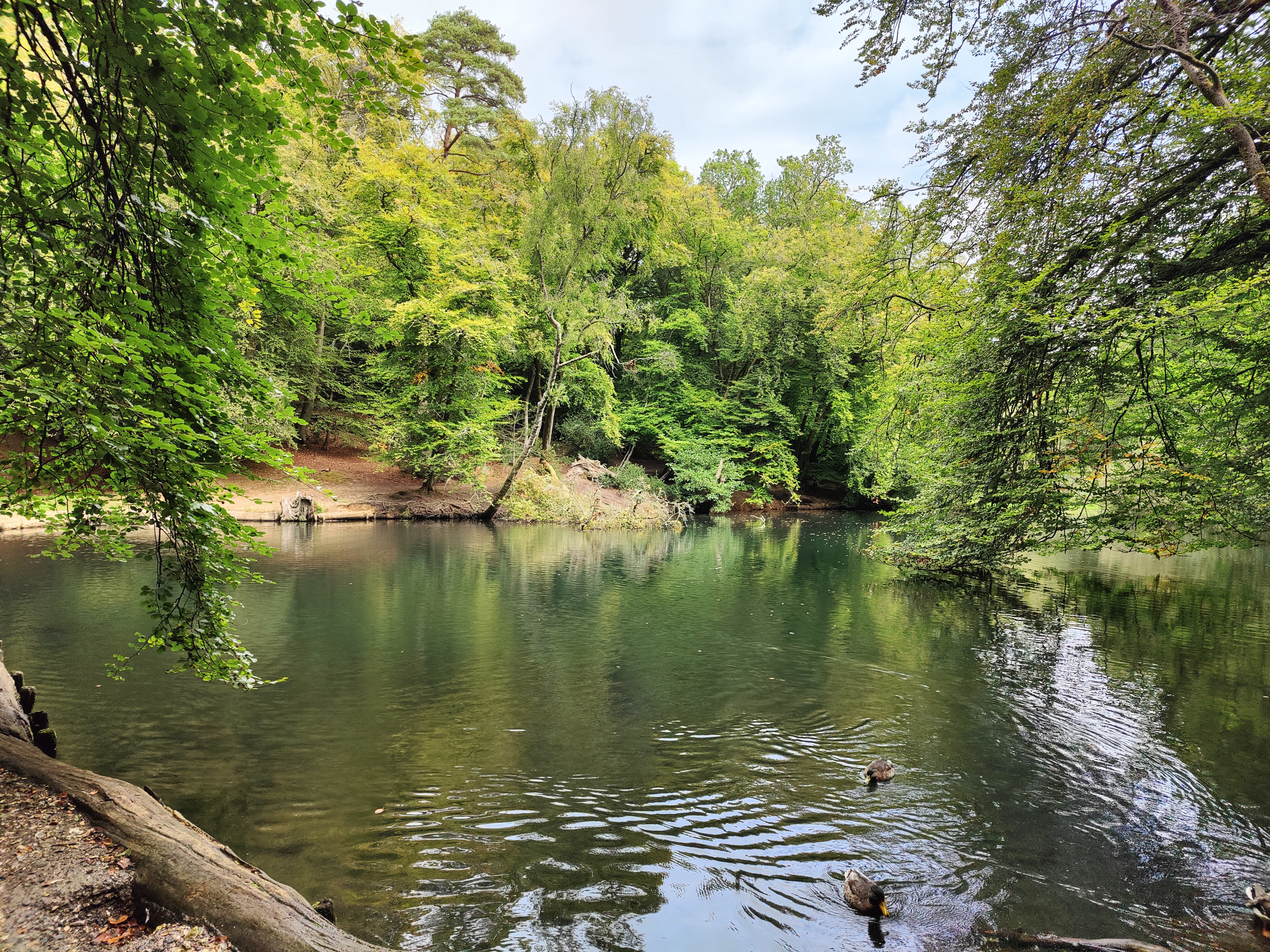 Pond at Waggoners Wells