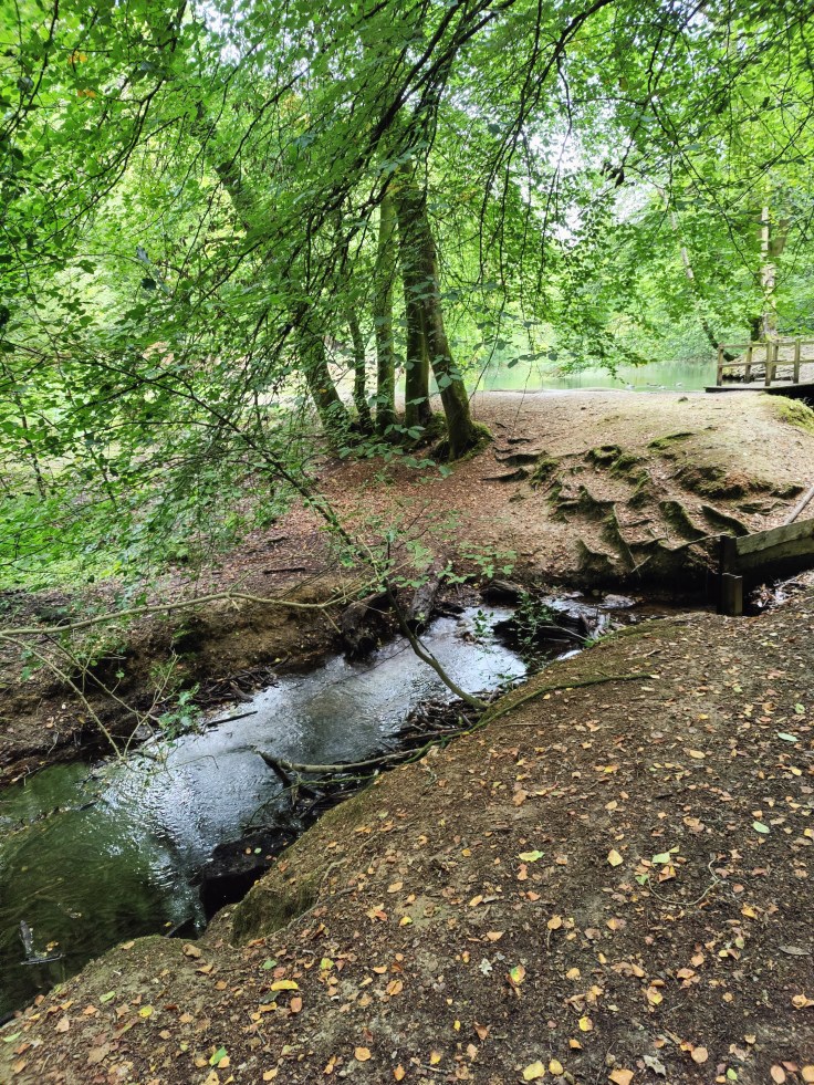 Stream at Waggoners Wells