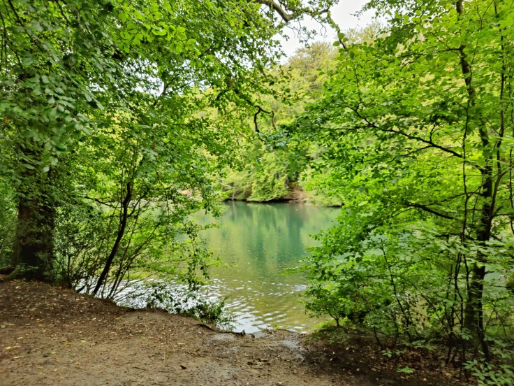 View across pond at Waggoners Wells