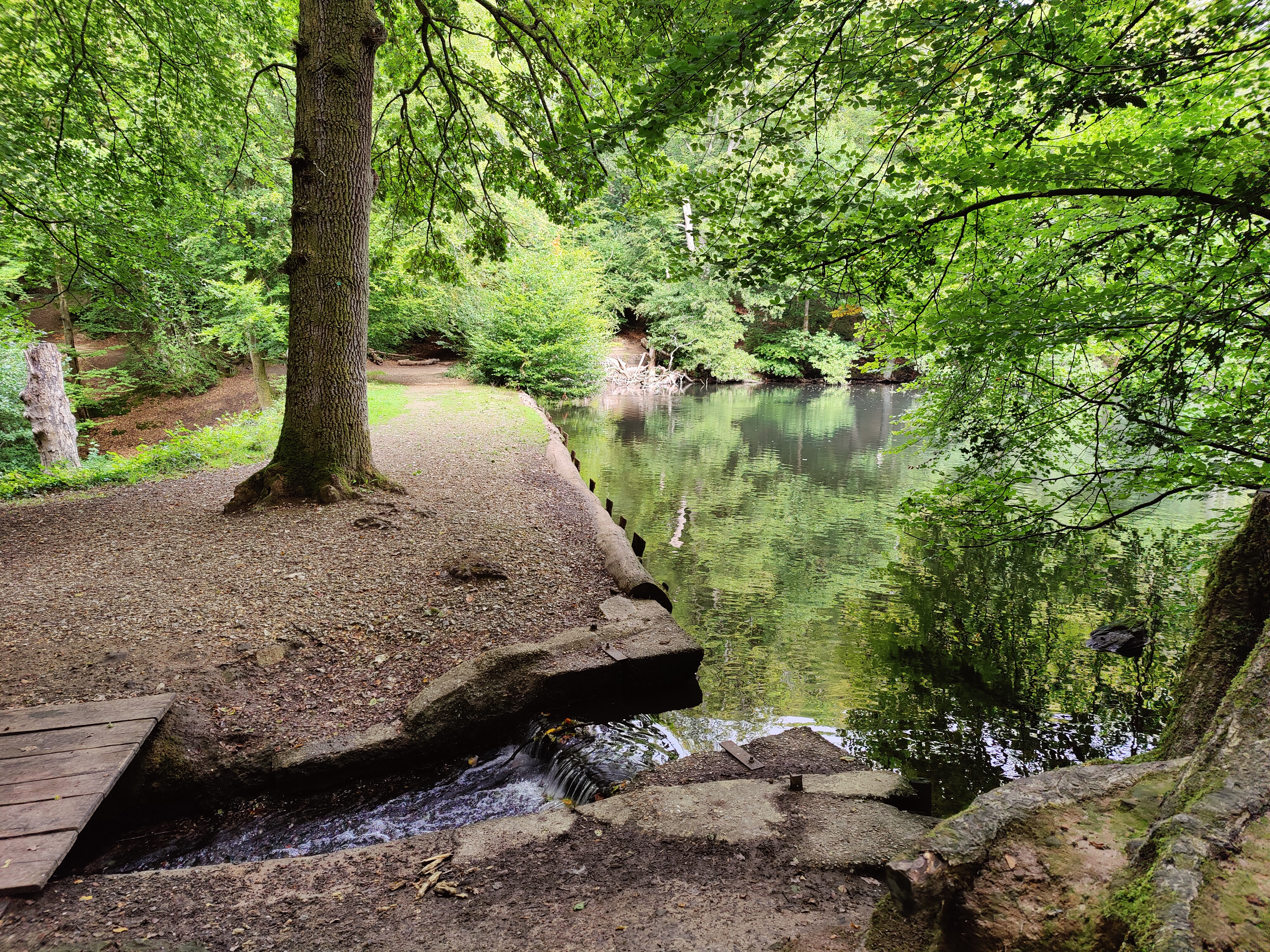 Pond with overflow stream at Waggoners Wells