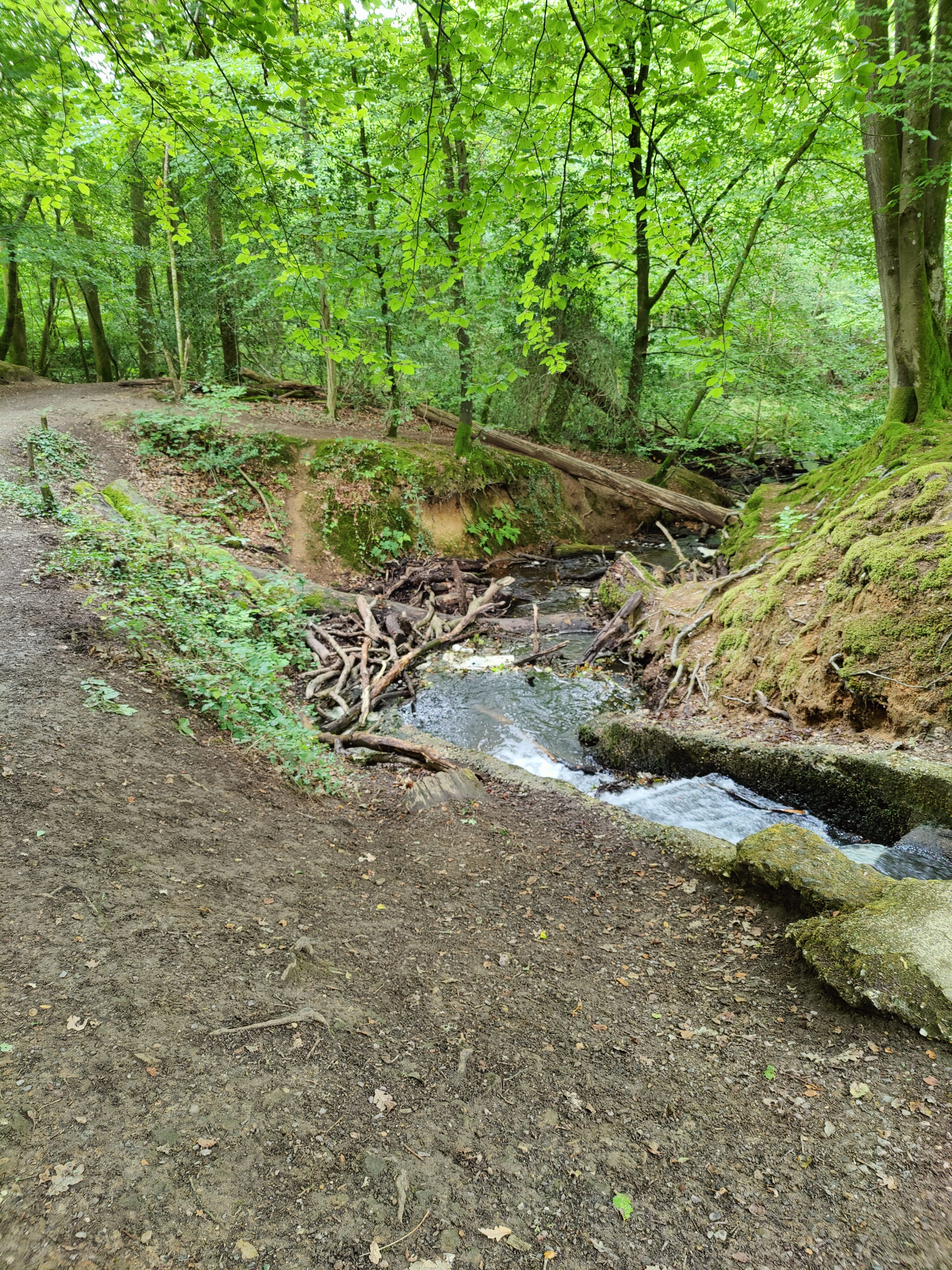 Stream at Waggoners Wells