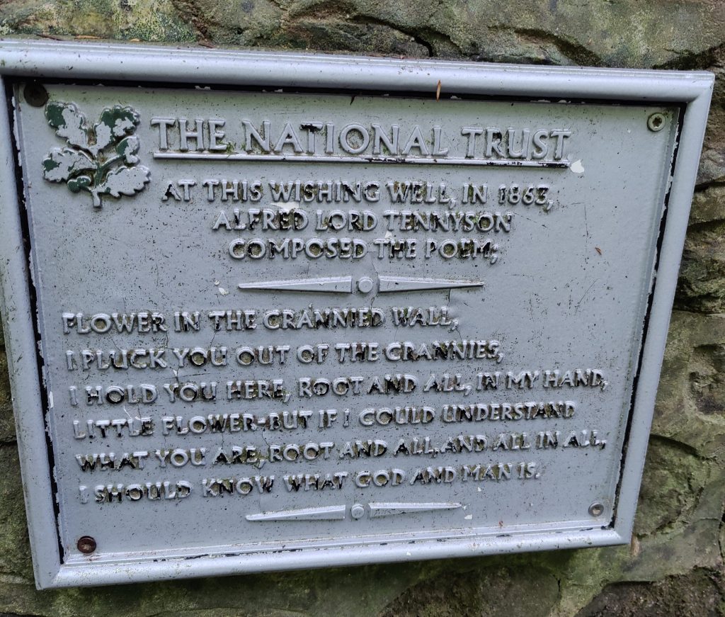 Plaque next to wishing well at Waggoners Wells reads: At this wishing well in 1863, Alfred Lord Tennyson composed the poem: Flower in the crannied wall, I pluck you out of the crannies, I hold you here, root and all, in my hand, Little flower—but if I could understand What you are, root and all, and all in all, I should know what God and man is.